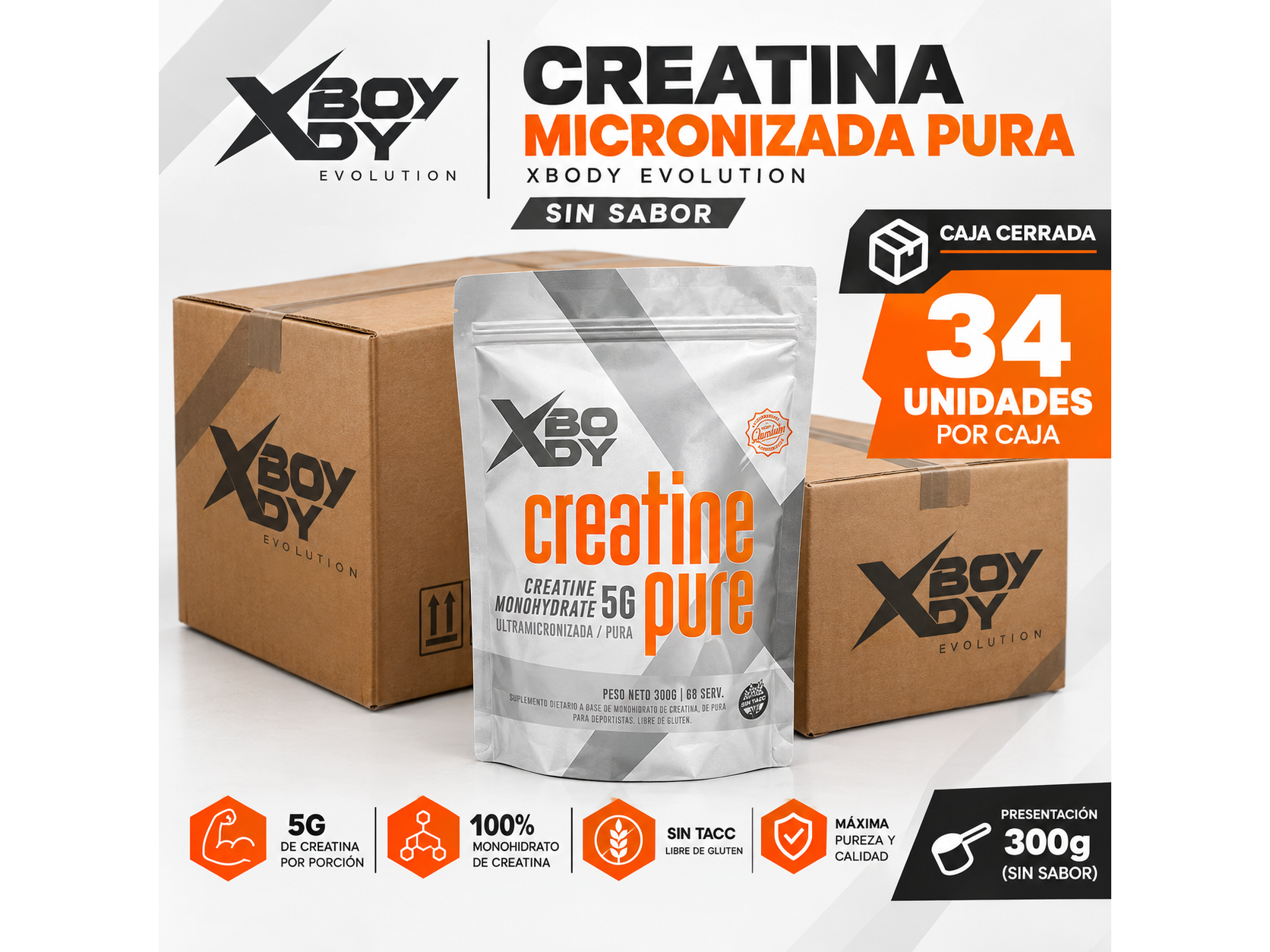 Creatina micronizada XBODY en formato mayorista