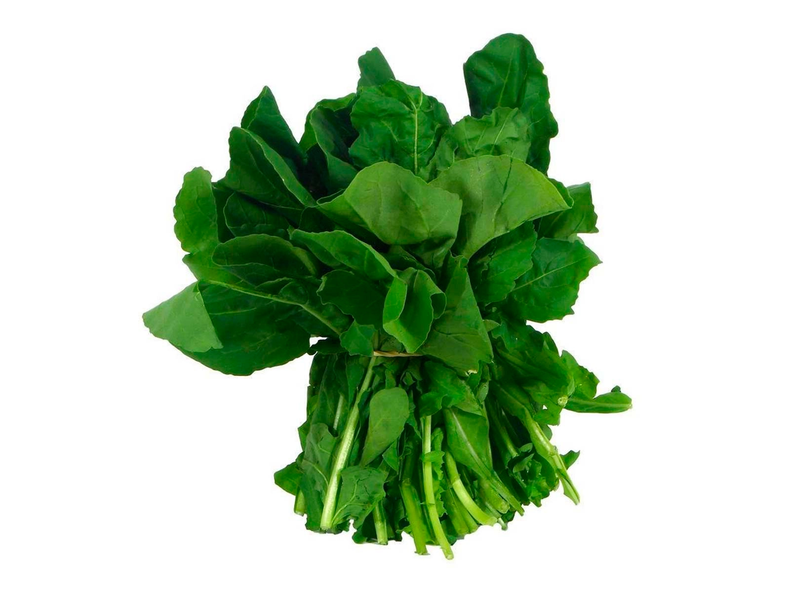 Espinaca x atado