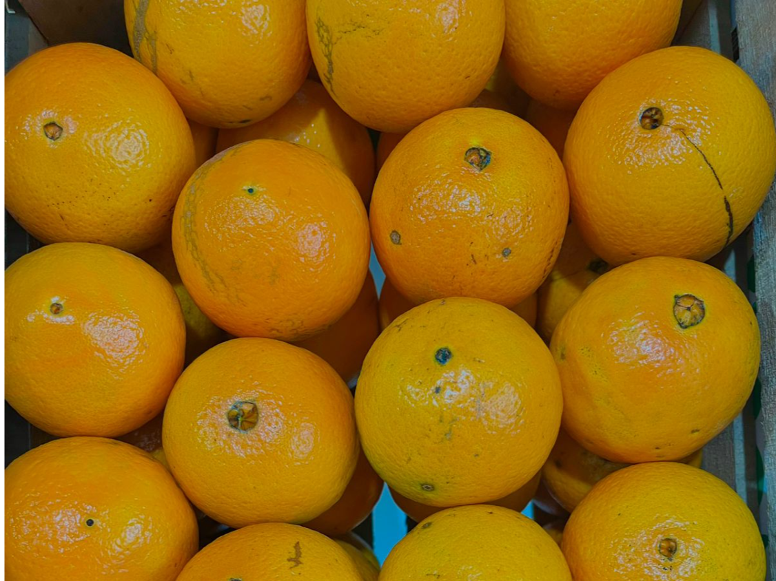Naranja ombligo