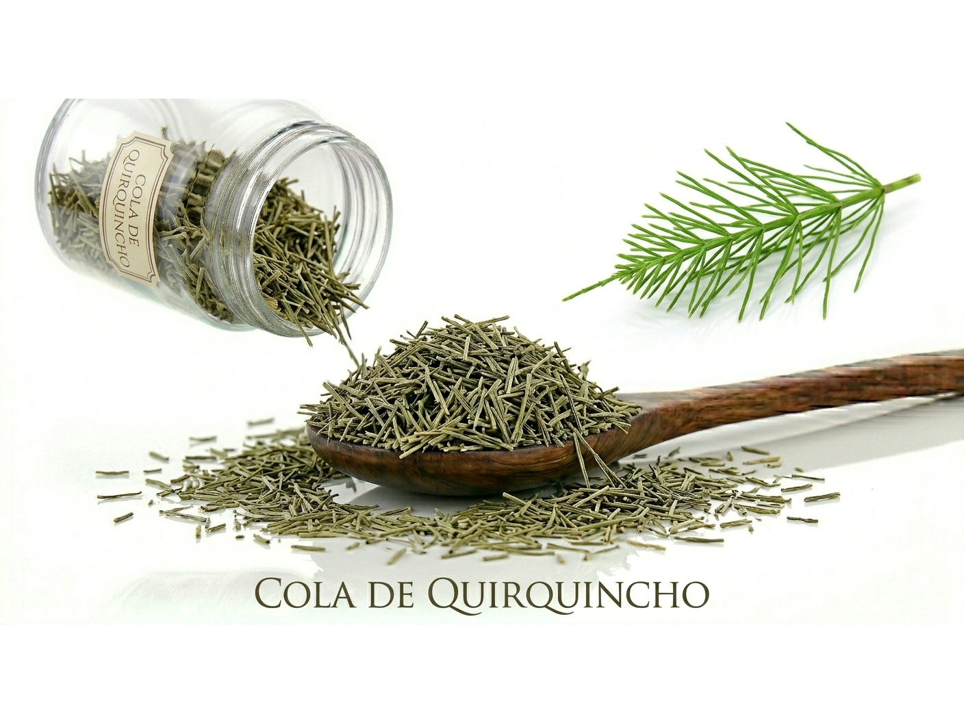 Cola de Quirquincho