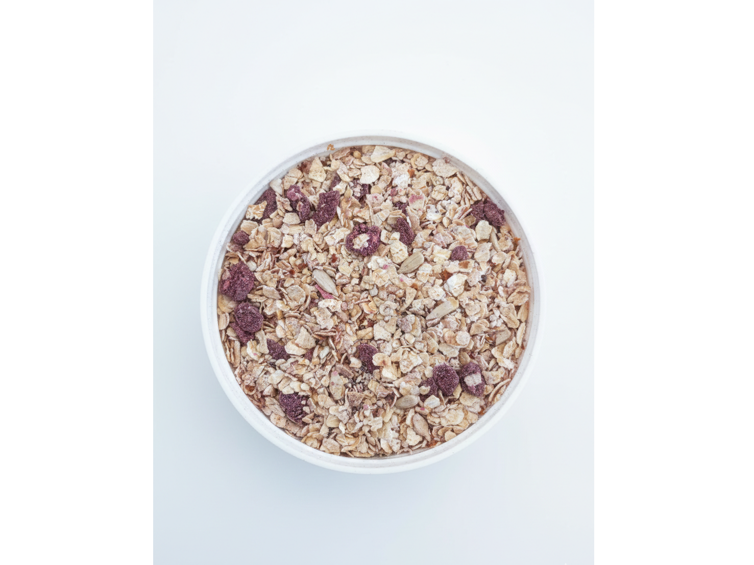 AVENA MIX ARANDANOS x100gr