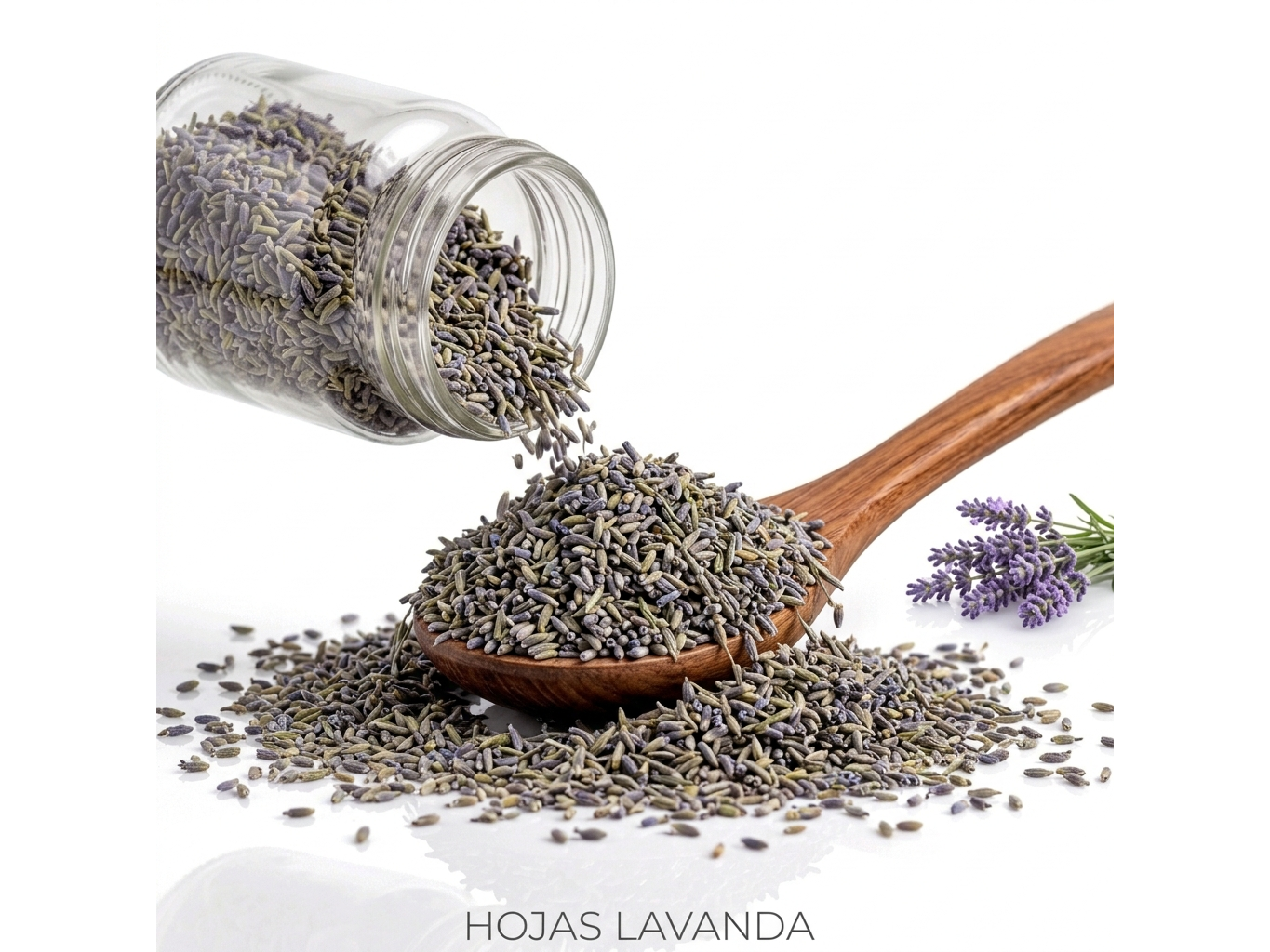 LAVANDA