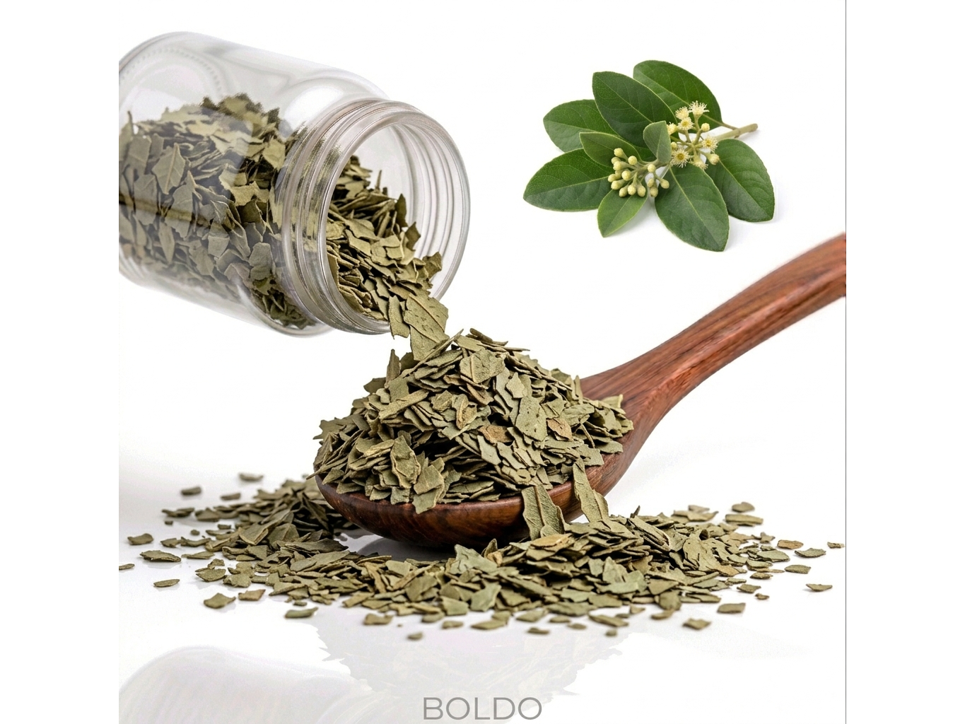 Boldo