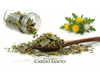 CARDO SANTO