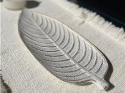 Centro Mesa Hoja Manday Blanca