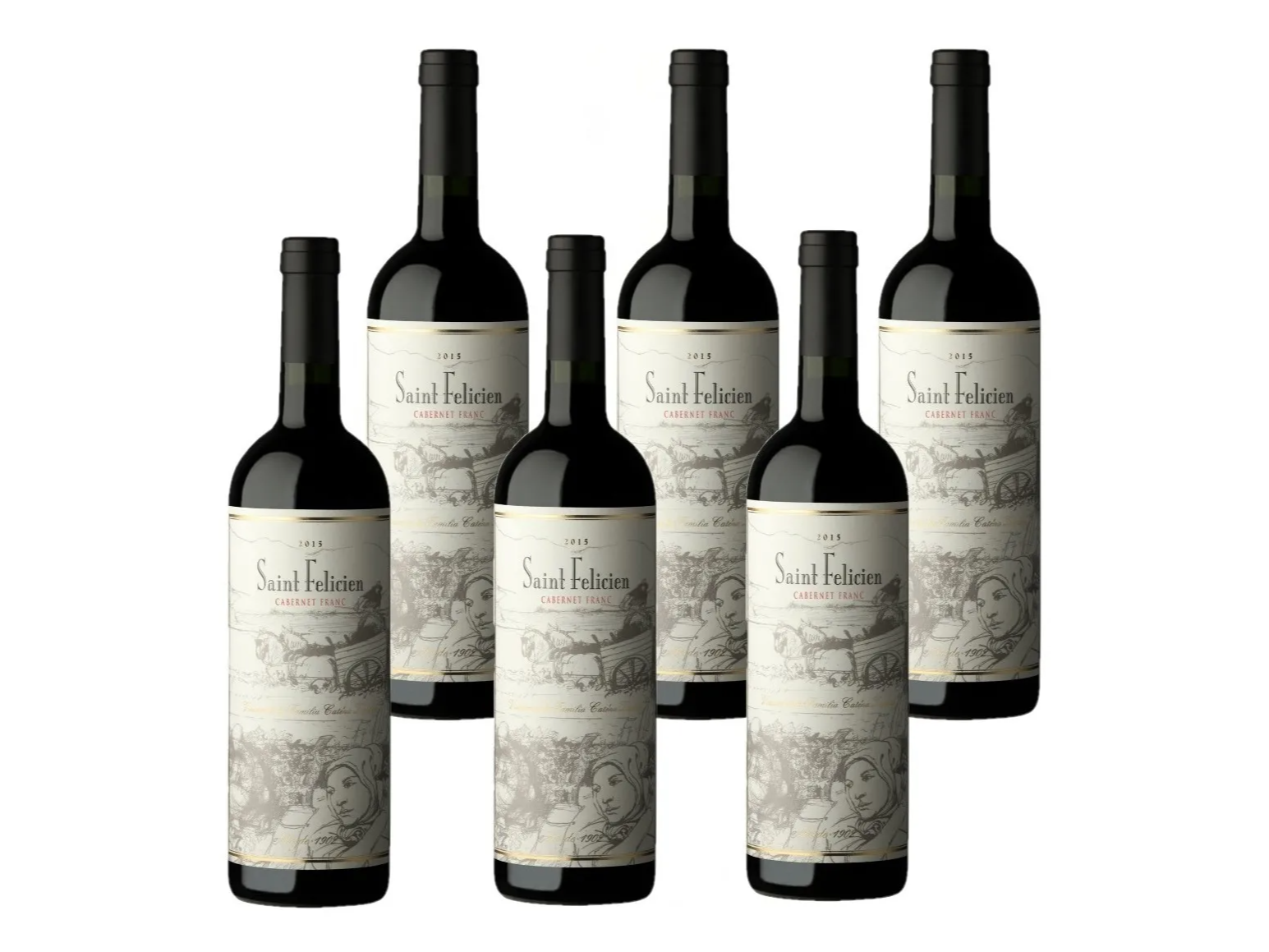 SAINT FELICIEN CABERNET FRANC 750ml - x 6 UNIDADES de LaBuenaVida