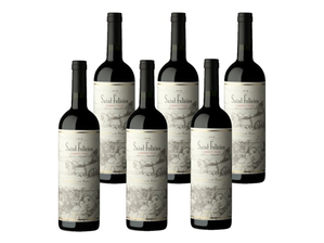 SAINT FELICIEN CABERNET FRANC 750ml - x 6 UNIDADES de LaBuenaVida
