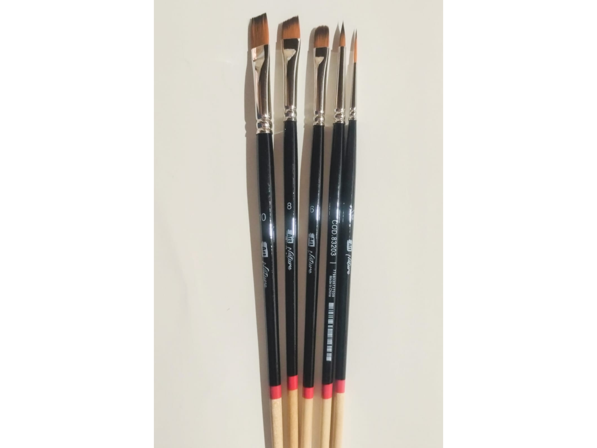 Set de 5 pinceles surtidos Art Nature