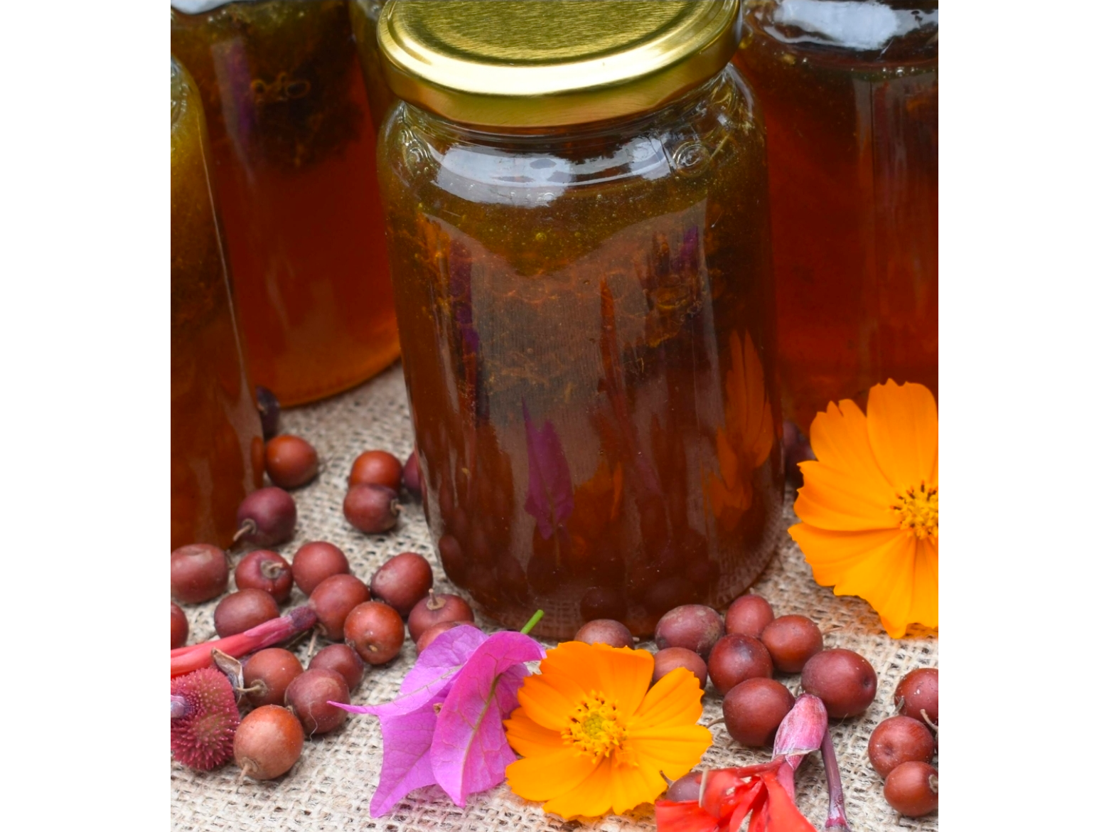 MIEL DE SAN MARCOS AGROECOLOGICA