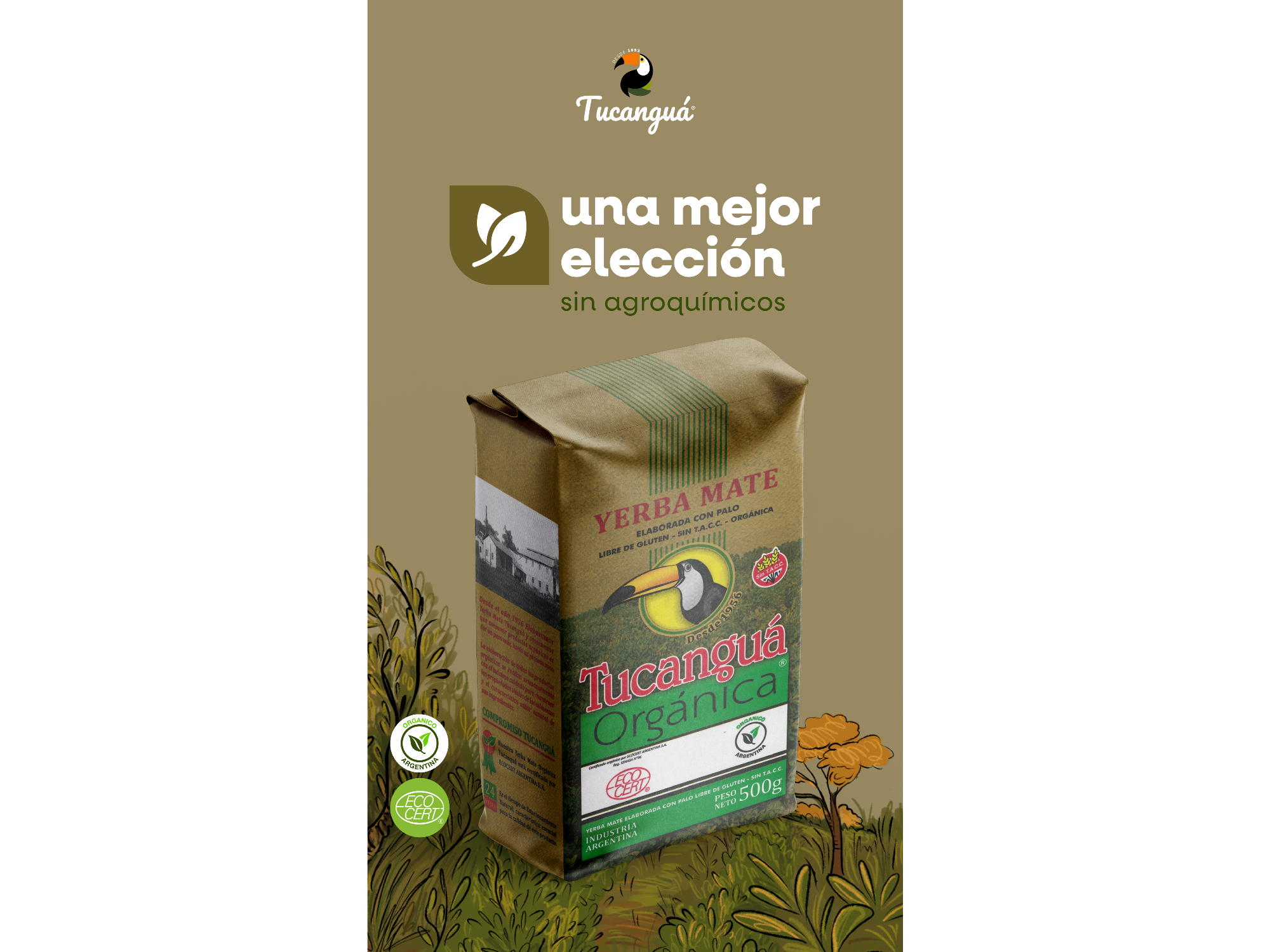 Yerba Mate Tucanguá Organica 1kg