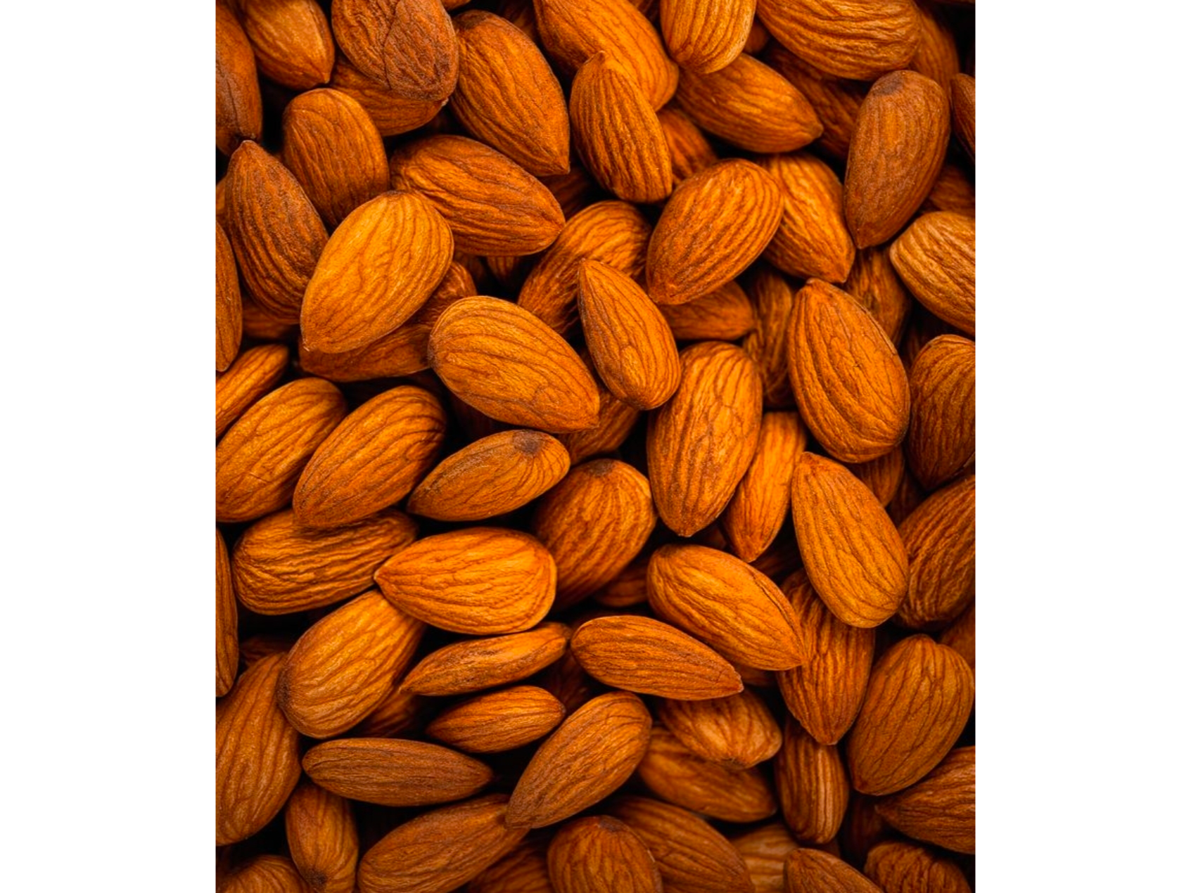 Almendras Carmel Chile