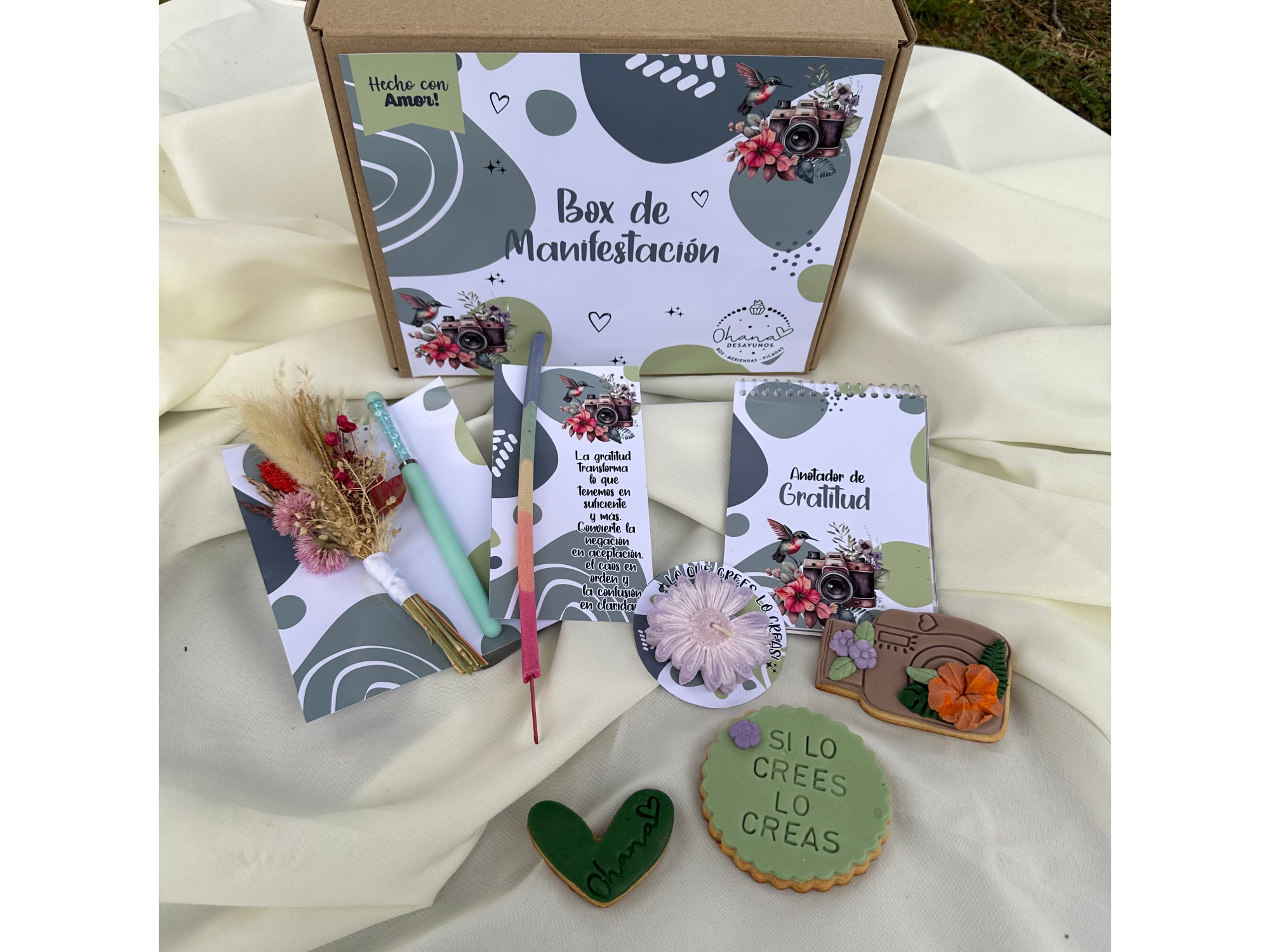 Box manifestación 🍀