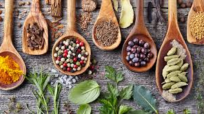 HIERBAS-CONDIMENTOS Y ESPECIAS