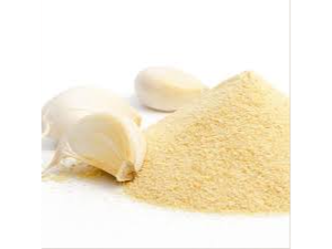 Ajo en polvo x100g