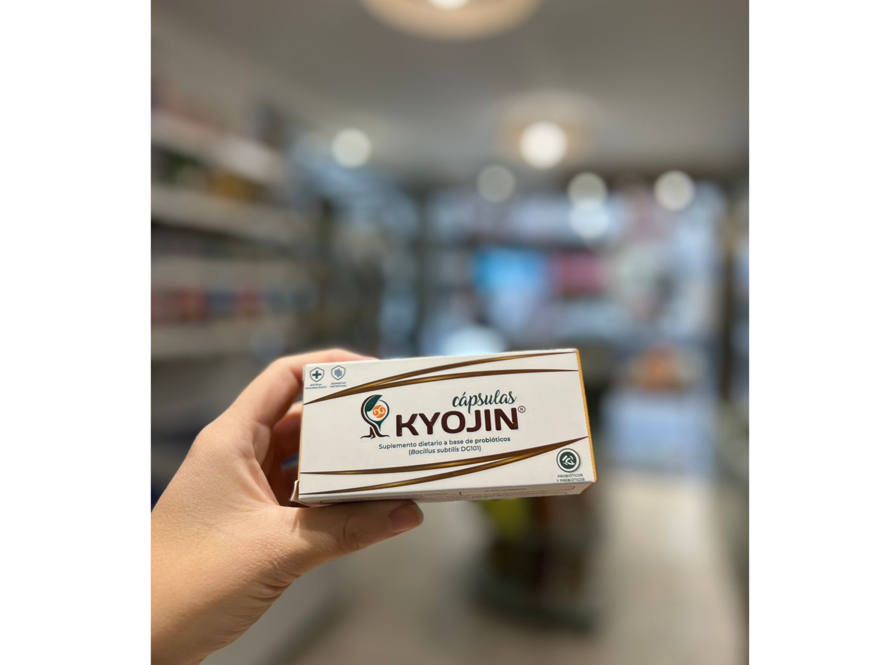 PROBIOTICO + PREBIOTICO KYOJIN CAPSULAS