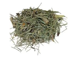 Cola de caballo x100g