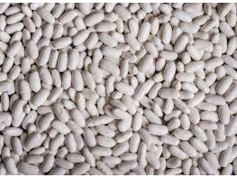 Porotos blancos alubia