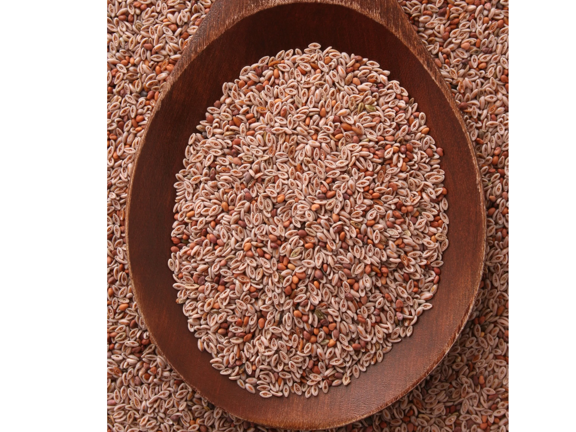 Semilla de psyllium