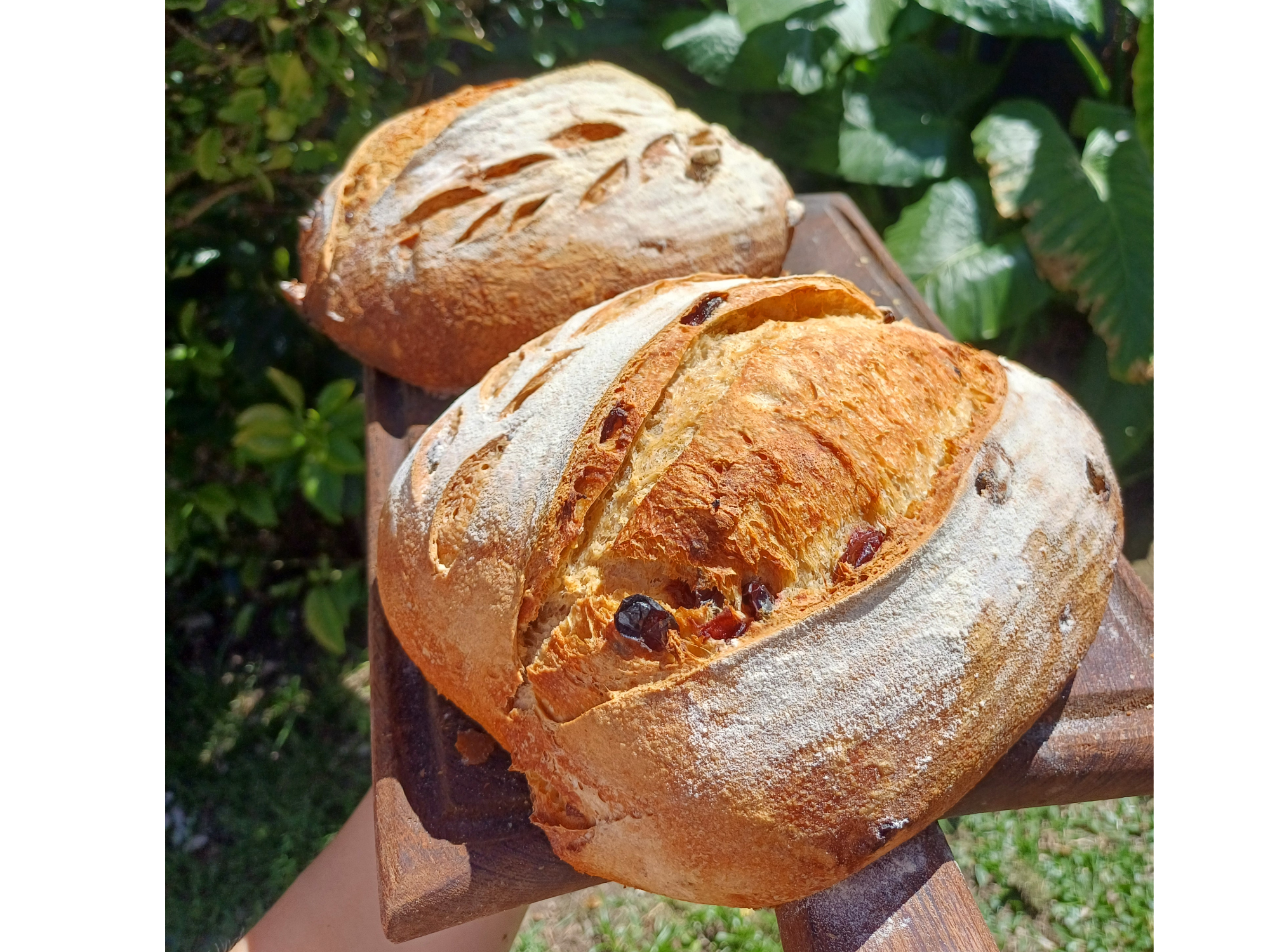 Pan de campo con almendras y arándanos semiintegral