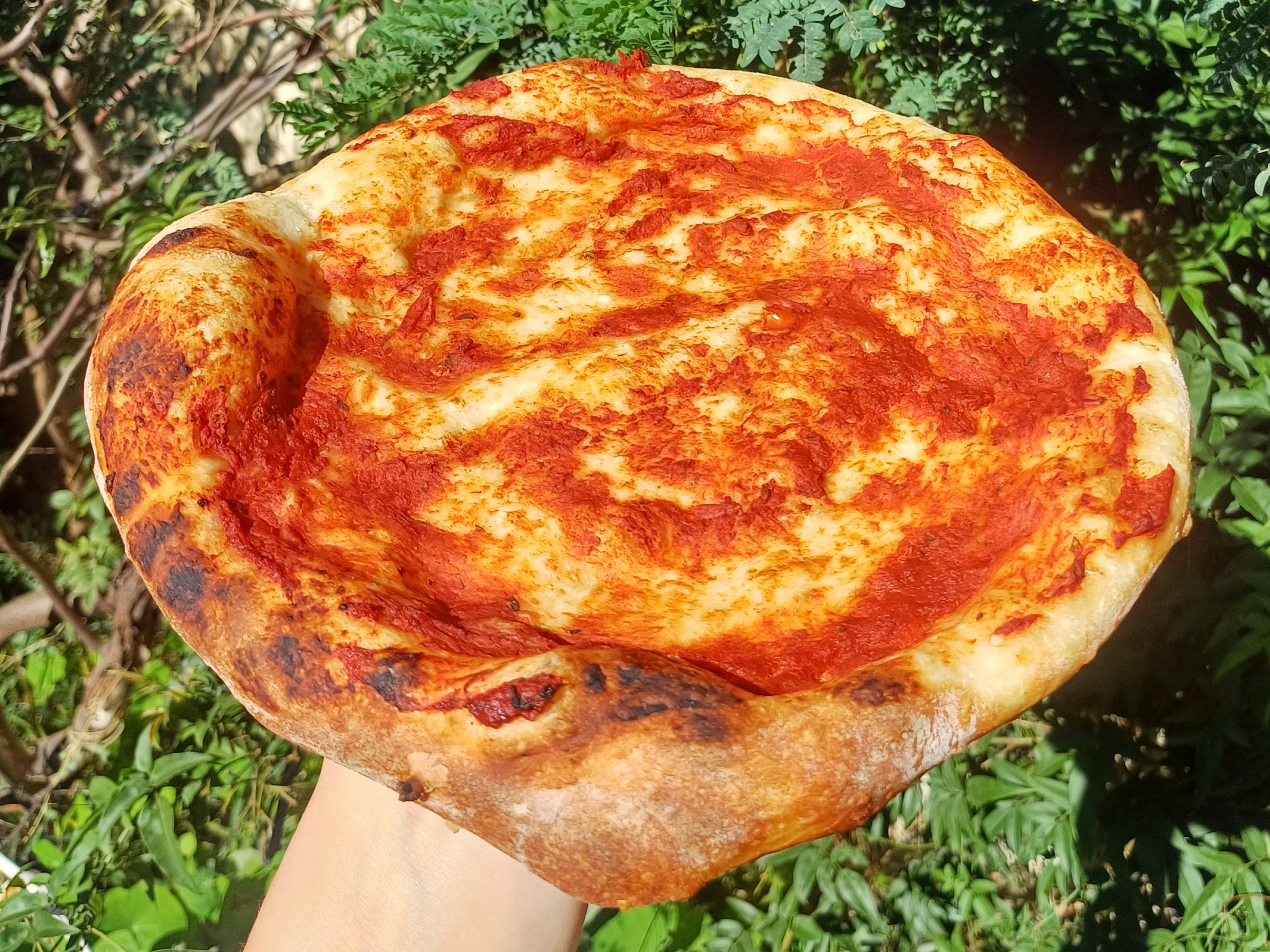 Prepizzas individuales pack x2
