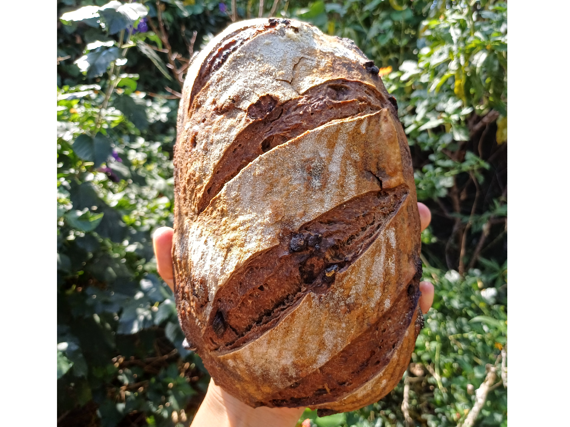 Pan de campo doble chocolate