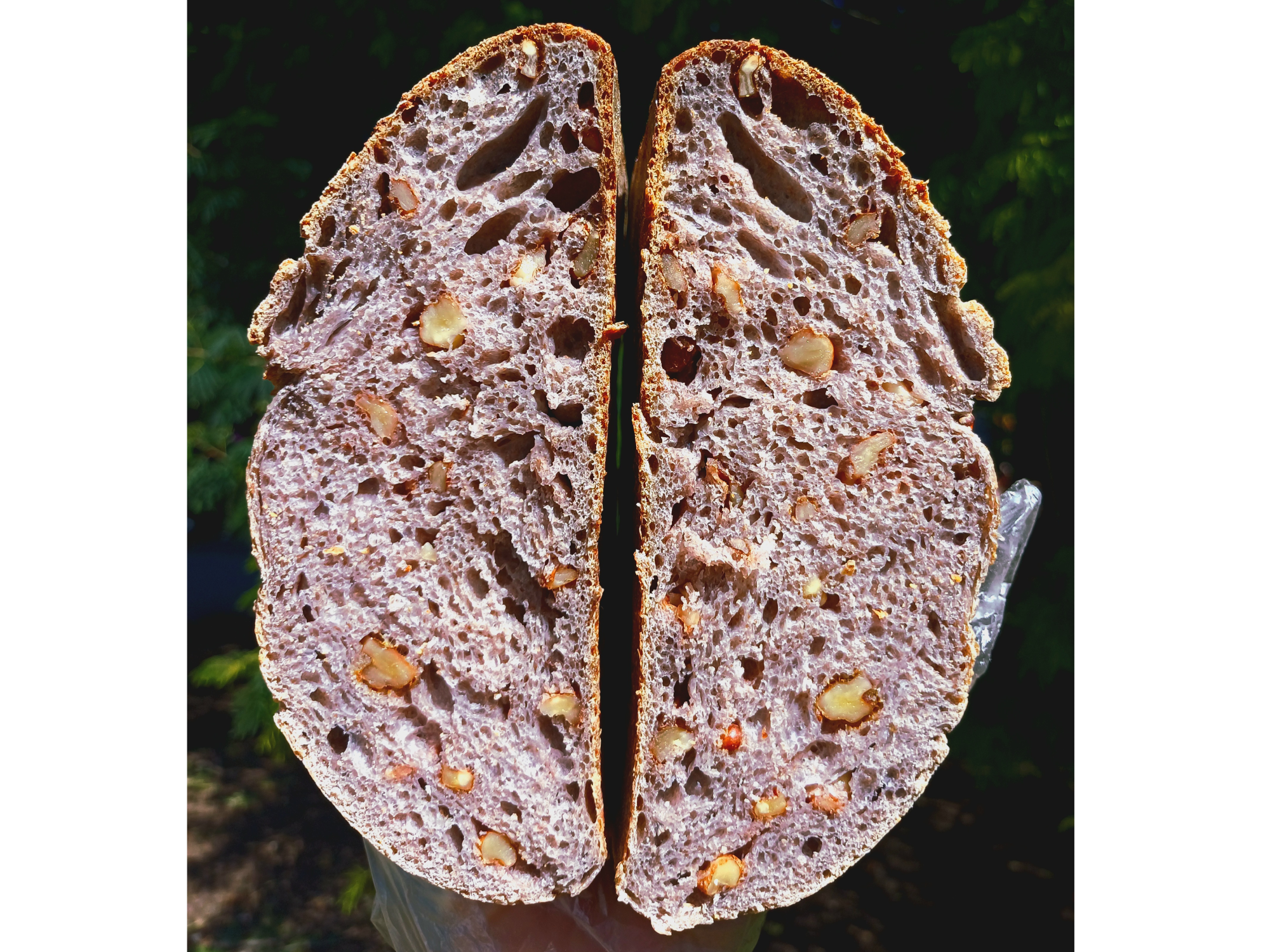 Pan de campo con nueces semiintegral