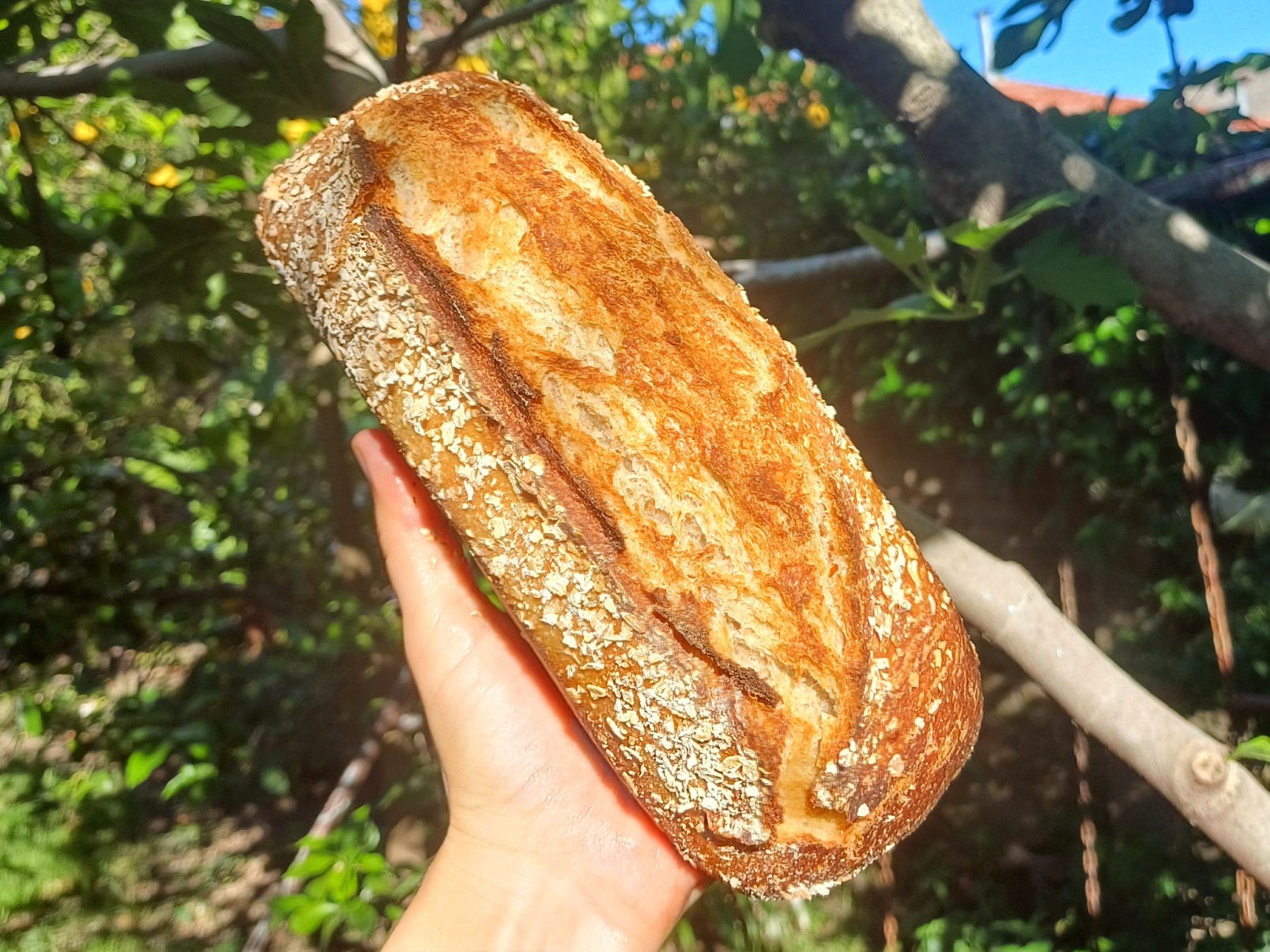 Pan de molde con avena semiintegral