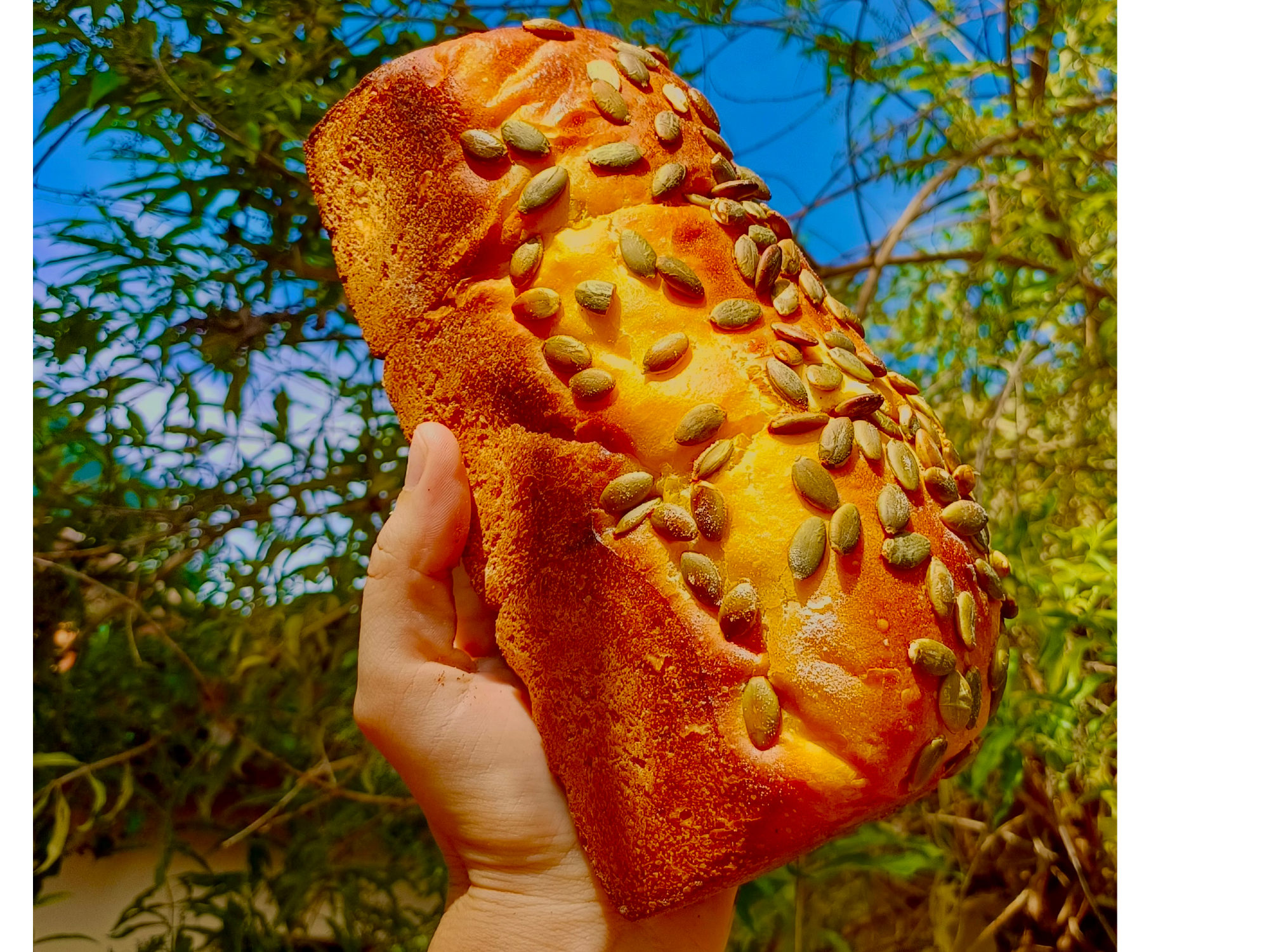 Pan de calabaza