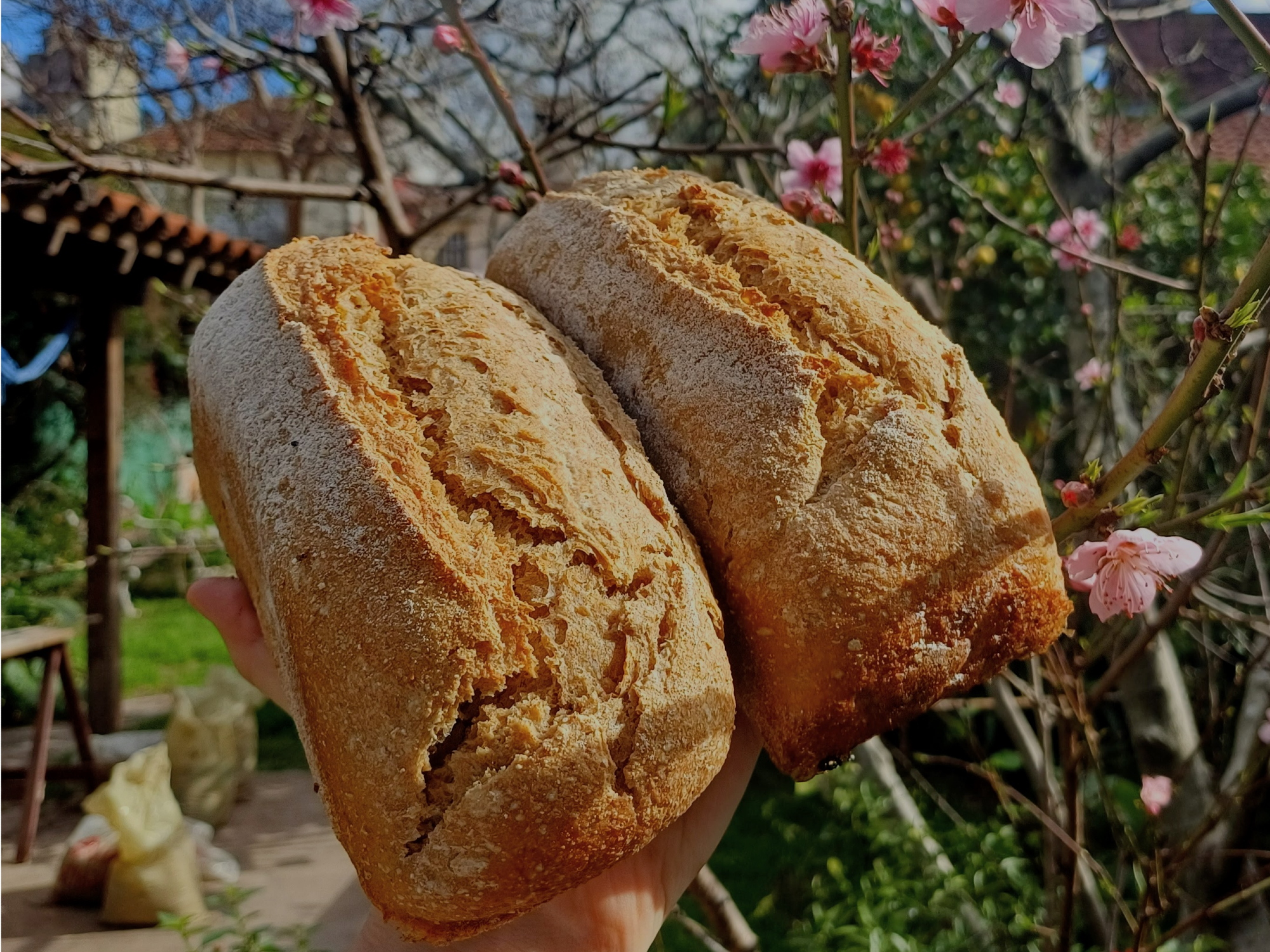Pan 100% integral agroecológico