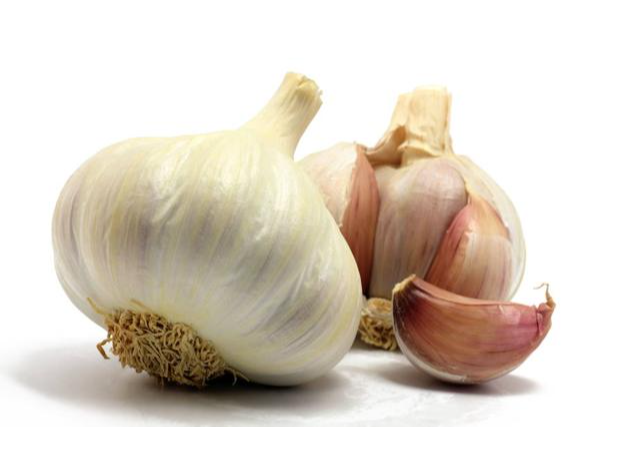 AJO GRANDE 🧄 ORGÁNICO 🌱