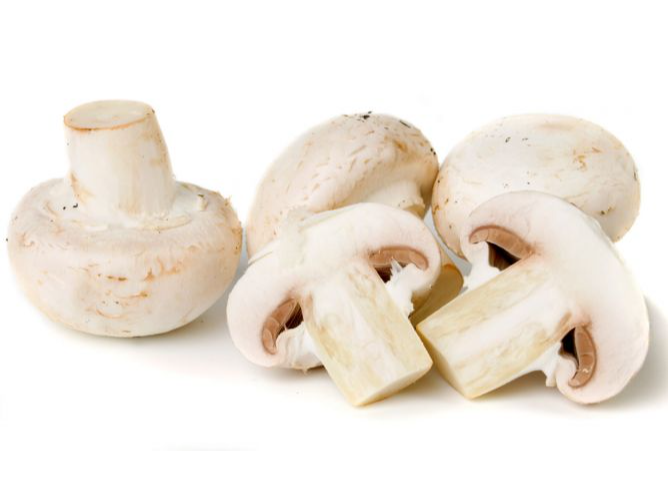 Champiñones🍄🌱