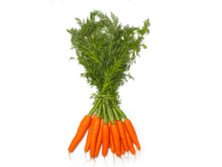 Zanahoria con Hoja 🥕🌿