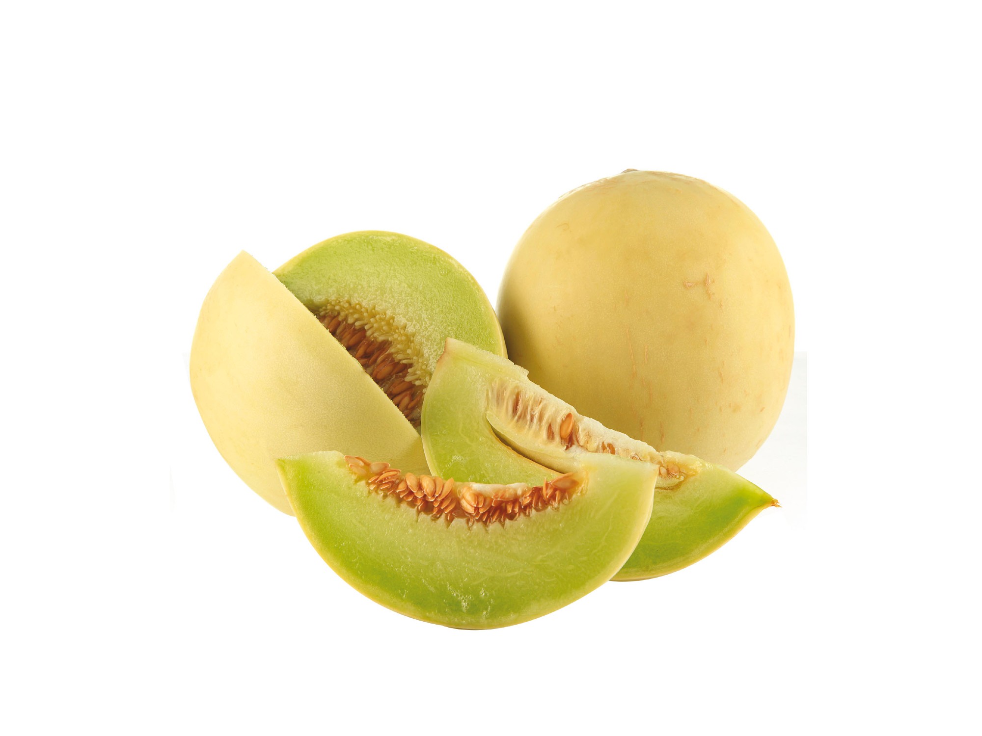 MELON BABY 🍈 AGRO🌱