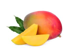 MANGO 🥭 AGRO 🌱