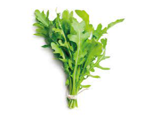 Rúcula 🌱