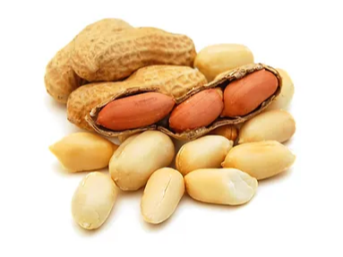 Maní (Convencional)