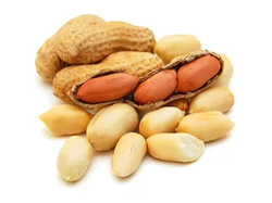 Maní (Convencional)