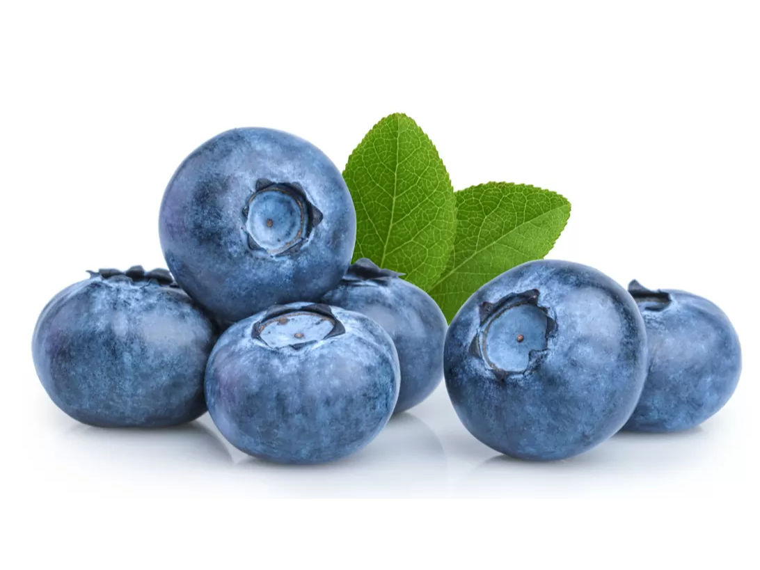 ARÁNDANOS 🫐 AGRO 🌱