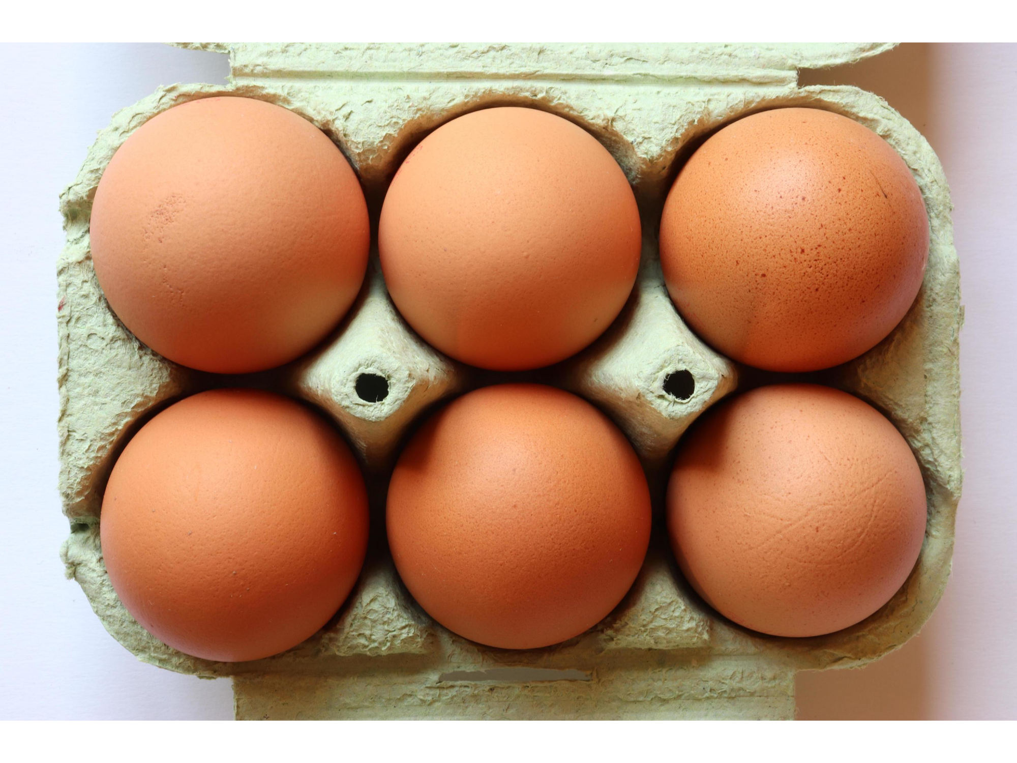 1/2 docena 🥚huevos 🐓 gallina libre