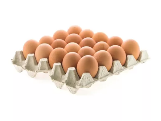 Maple Campo tamaño súper x🥚 20