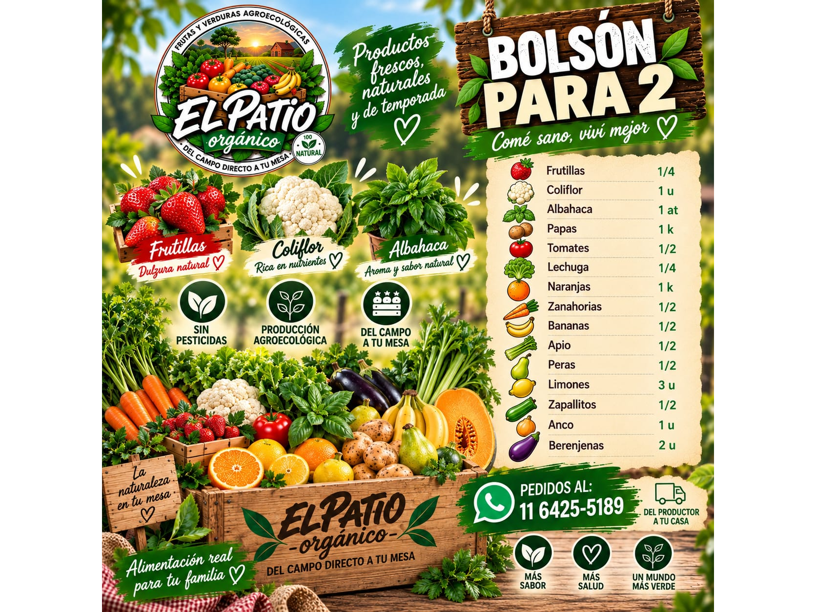 BOLSON PARA 2