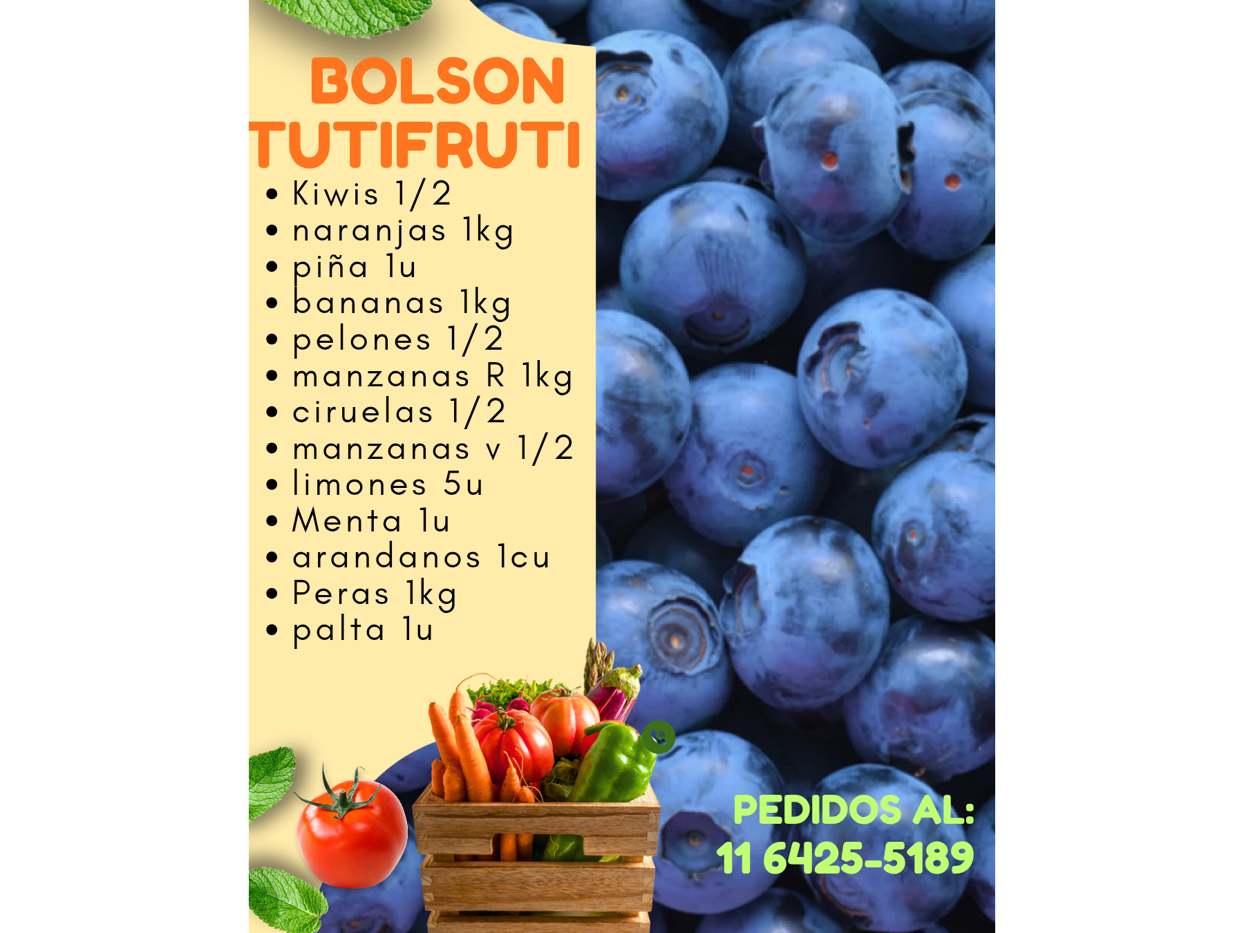 BOLSON TUTIFRUTI  ( FRUTAL )