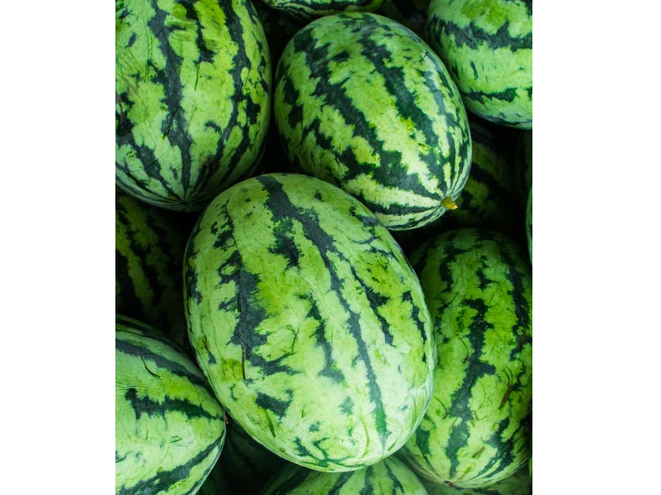 SANDIA DULCE 🍉 AGRO🌱 1 UNIDAD ENTERA