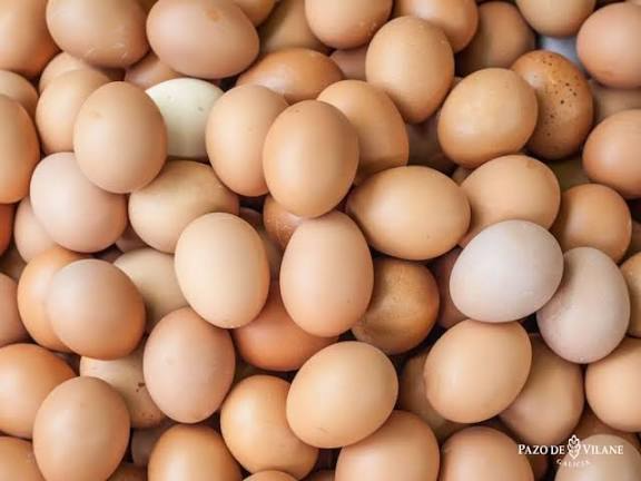 BOLSON FAMILIAR + MAPLE