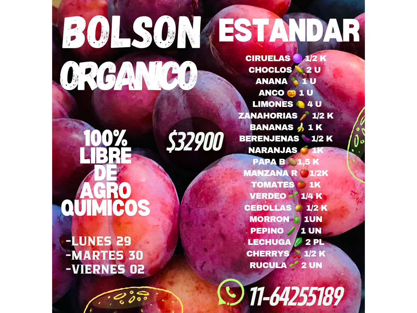 BOLSÓN ESTANDAR