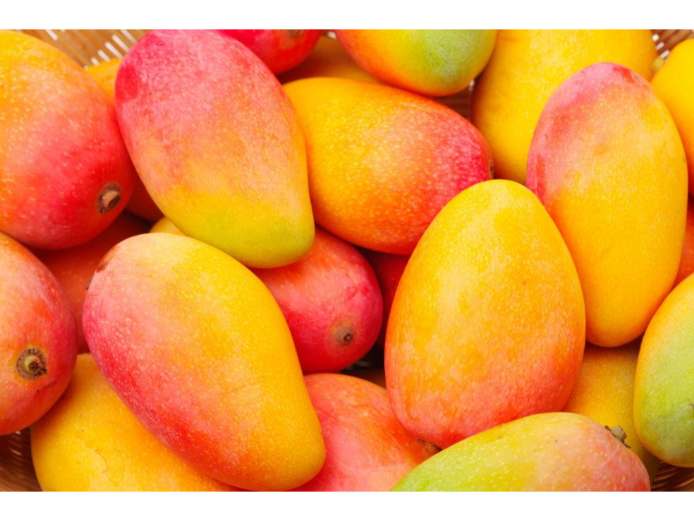 Ofertón 2 mangos🥭 agroecológicos