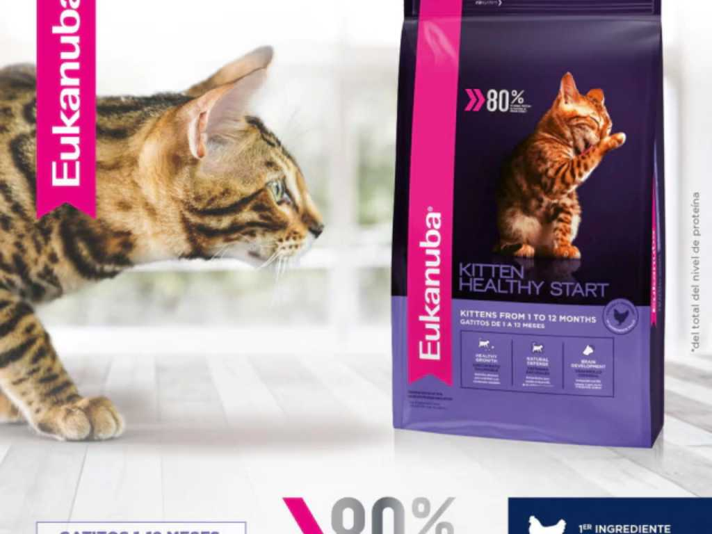 EUKANUBA KITTEN HEALTHY START