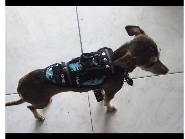 Alforja reforzada para razas chicas G (B0AZA-G)