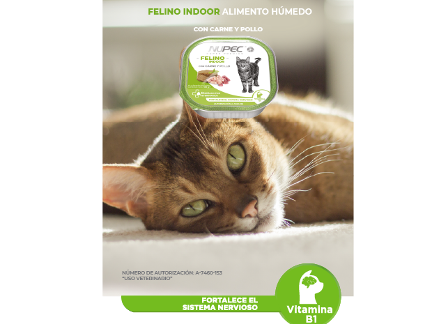 ALIMENTO HUMEDO FELINO INDOOR (84333)
