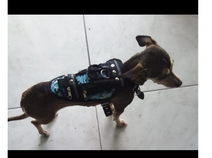 Alforja reforzada para razas chicas M (B0AZA-M)